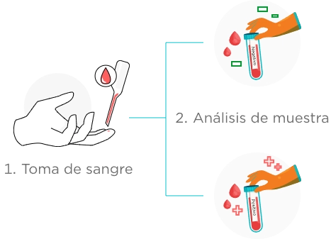 Proceso muestra sangre